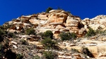 photo thumbnail #12