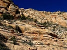 photo thumbnail #15