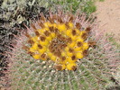 photo thumbnail #1