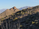 photo thumbnail #5