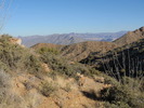 photo thumbnail #6