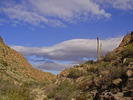 photo thumbnail #9