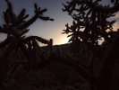 photo thumbnail #5