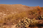 photo thumbnail #1