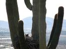 photo thumbnail #12