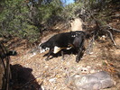 photo thumbnail #1