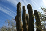 photo thumbnail #5