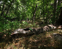 photo thumbnail #5