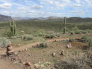 photo thumbnail #4