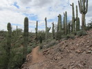 photo thumbnail #8
