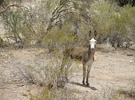 photo thumbnail #8