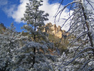 photo thumbnail #5