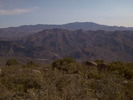 photo thumbnail #6