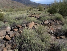 photo thumbnail #7