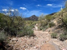 photo thumbnail #14