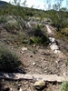 photo thumbnail #14