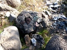 photo thumbnail #15