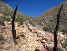 photo thumbnail #4