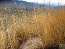 photo thumbnail #14