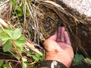 photo thumbnail #15