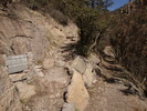 photo thumbnail #9