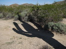 photo thumbnail #7