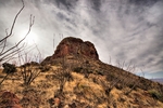 photo thumbnail #10