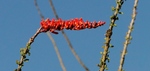 photo thumbnail #12