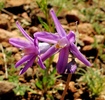 photo thumbnail #14
