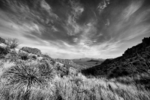 photo thumbnail #15