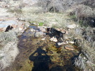 photo thumbnail #9