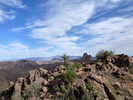 photo thumbnail #6