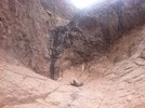 photo thumbnail #12