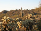 photo thumbnail #1
