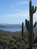 photo thumbnail #4