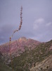 photo thumbnail #13