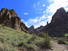 photo thumbnail #1
