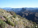 photo thumbnail #6