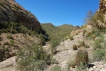 photo thumbnail #8