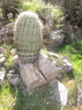 photo thumbnail #4