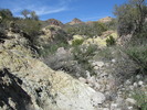 photo thumbnail #8