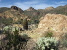 photo thumbnail #11