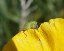 photo thumbnail #9