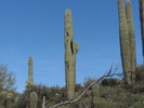 photo thumbnail #6