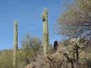 photo thumbnail #7