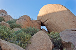 photo thumbnail #4