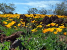 photo thumbnail #10