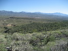 photo thumbnail #1