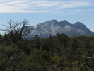 photo thumbnail #1