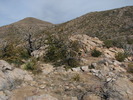 photo thumbnail #11